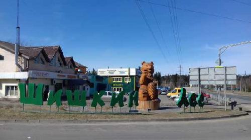 Строительство домов в Шишкином Лесу