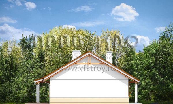 Проект простого в постройке коттеджа S8-107 (Жабка)