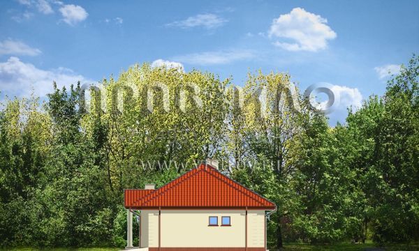 Проект лаконичного по дизайну коттеджа S8-138 (Как мечта 3)