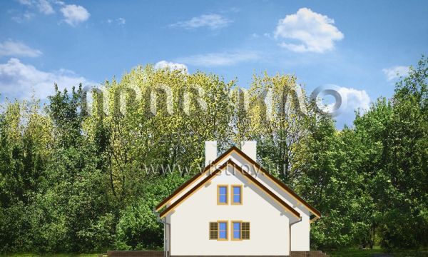 Проект коттеджа с просторной гостиной S8-193 (Аккуратный с сенью)