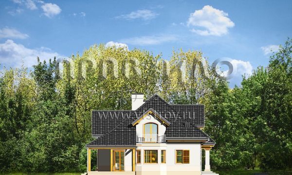 Проект частного дома для большой семьи S8-276 (Рубин 3)