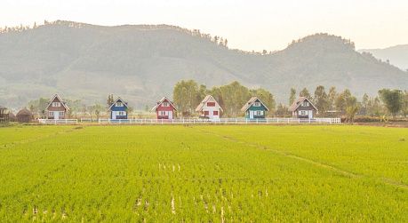 Земля в Подмосковье подорожает минимум на 10% Земля в Подмосковье подорожает минимум на 10%