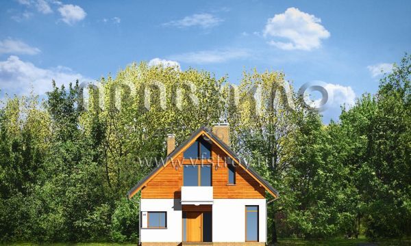 Проект простого загородного дома S8-176-1 (Простой)