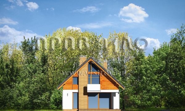 Проект простого загородного дома S8-176-1 (Простой)