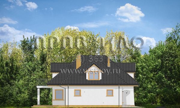 Проект яркого загородного дома S8-234-1 (Примус)