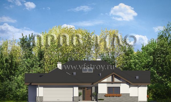 Проект дома для просторного участка S8-301-1 (Раскидистый 2)