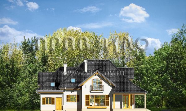 Проект частного дома для большой семьи S8-276 (Рубин 3)