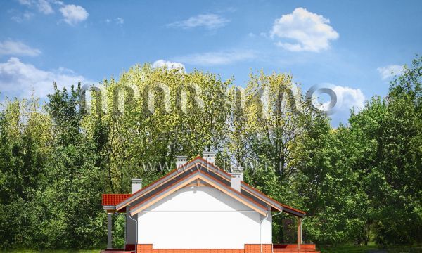 Проект стильного дома с двухместным гаражом S8-170 (Незабудка с Гаражом 2)