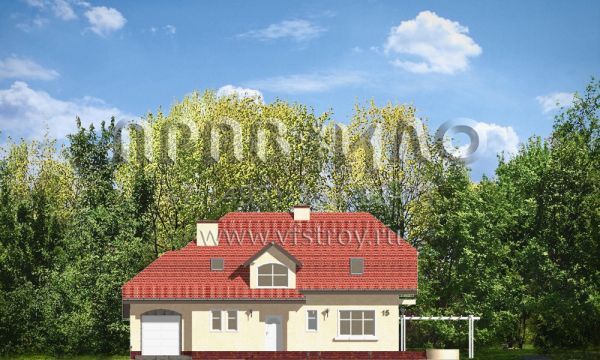Проект дома с камином в гостиной S8-220-1 (Погодный 3)