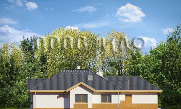 Проект шикарного загородного дома S8-298 (Раскидистый)