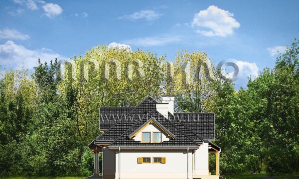 Проект частного дома для большой семьи S8-276 (Рубин 3)