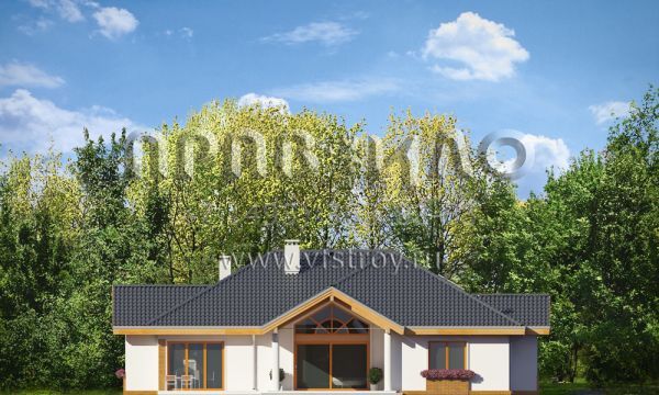 Проект шикарного загородного дома S8-298 (Раскидистый)