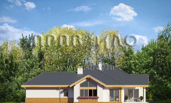 Проект шикарного загородного дома S8-298 (Раскидистый)