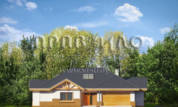 Проект шикарного загородного дома S8-298 (Раскидистый)