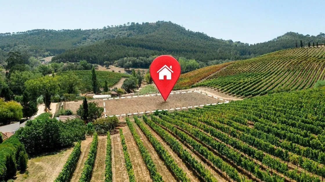 ФАС нашла нарушения в выдаче сельской ипотеки